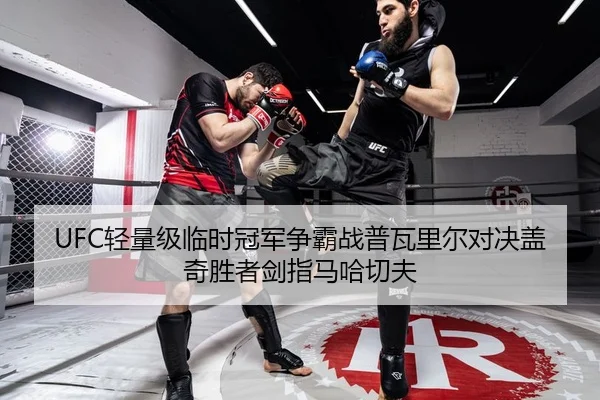 UFC轻量级临时冠军争霸战普瓦里尔对决盖奇胜者剑指马哈切夫